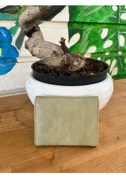 Olvera Deri Kartlık Cüzdan fiyatları