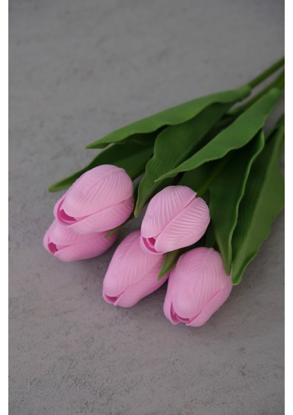 Pembe 5’li Lale Demet fiyatları