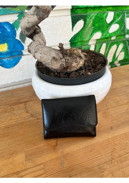 Olvera Deri Kartlık Cüzdan