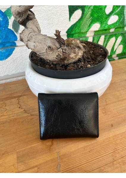 Olvera Deri Kartlık Cüzdan fiyatları