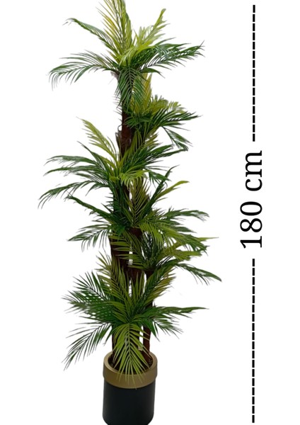 Areka Palmiye Ağacı 6 Gövde 54 Yaprak 180 cm Gold Kemerli Siyah Metal Lüks Vazoda Yapay Ağaç fiyatları