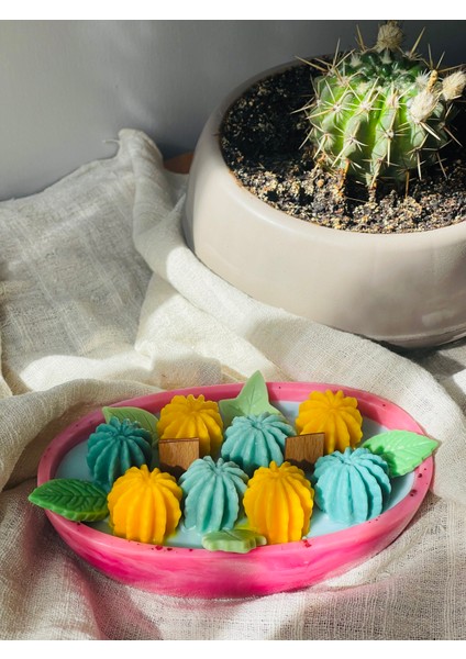 Epoksi Kase Içinde Dekoratif Kaktüs Tasarım %100 Soya Mum – El Yapımı Premium Mum