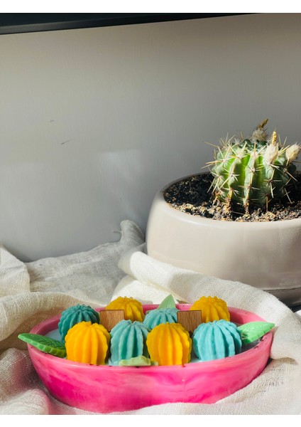 Epoksi Kase Içinde Dekoratif Kaktüs Tasarım %100 Soya Mum – El Yapımı Premium Mum modelleri