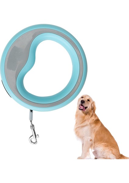 Otomatik Köpek Gezdirme Tasması 2.5 Metre indirimleri