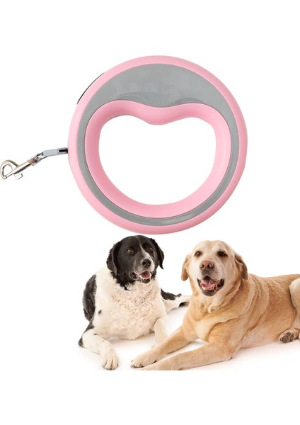 Otomatik Köpek Gezdirme Tasması 2.5 Metre