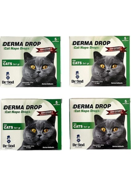 Dr. Sed Kedi Damla 4 Kutu