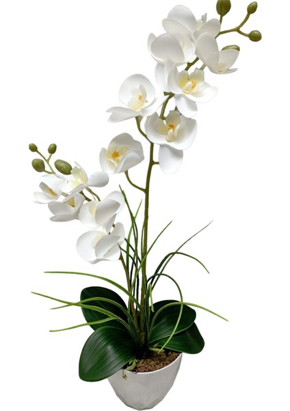 Ikili Beyaz Islak Orkide Anneler Gününe Özel Yapay Çiçek Beyaz Yakamoz Saksıda 50 Cm.