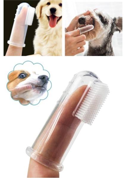 Kedi ve Köpek Parmak Diş Fırçası Saklama Kutulu Kolay Kullanımlı Evcil Hayvan Diş Bakım Fırçası