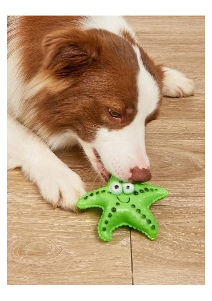 Köpekler Için Denizyıldızı Figürlü Çiğneme Oyuncağı fiyatları