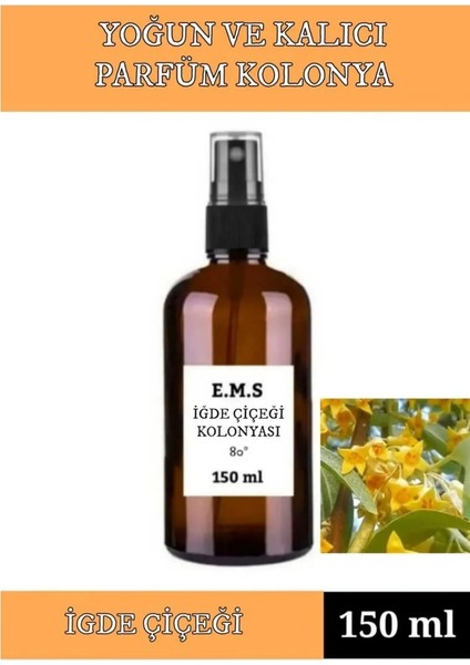 Iğde Çiçeği Kolonyası 150 ml Yoğun ve Kalıcı 80 Derece Parfümlü Kolonya.