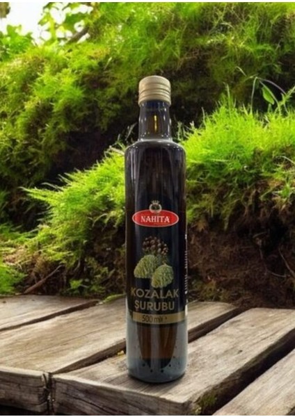 Çamkozalağı Özü fiyatları