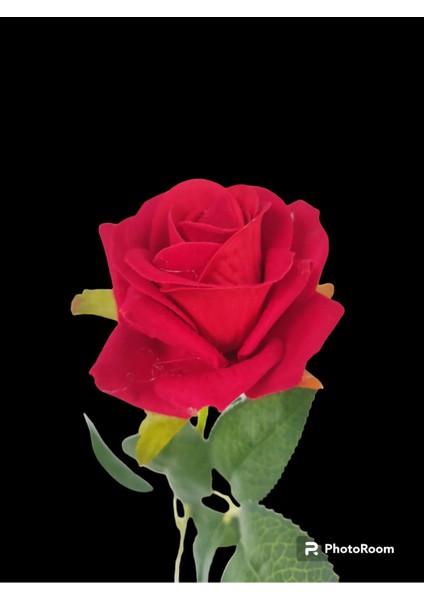 Incili Şakayık Aranjmanı Beyaz Lüks Mika Saksıda Masaüstü Dekoratif Yapay Çiçek fiyatları