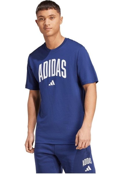 Sportswear JM6417 Collegiate Lineage Graphic Tee