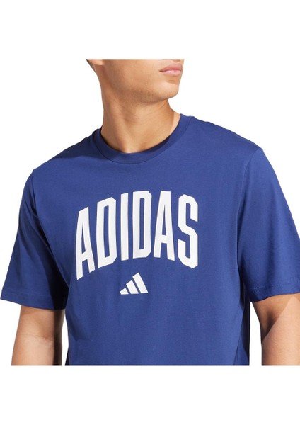 Sportswear JM6417 Collegiate Lineage Graphic Tee