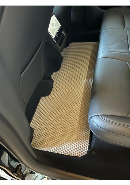 Araba Paspası modelleri