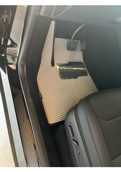 Araba Paspası fırsatları