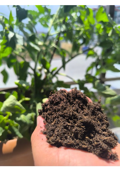 Bitki Toprağı,10 Lt Fideleme, Saksı Toprağı Iç Dış Mekan Toprak . modelleri