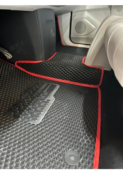 Araba Paspası modelleri