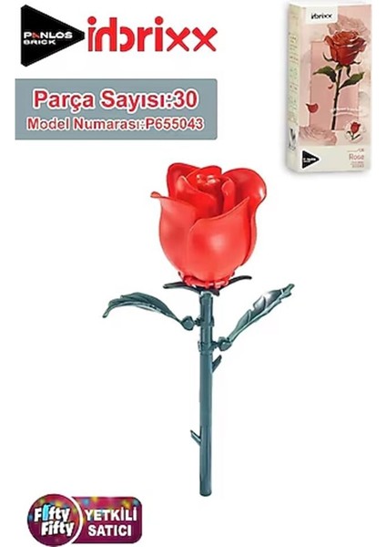 P655043 Panlos Block Oyuncak