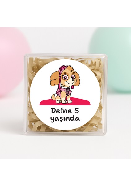 Kişiye Özel Skye (Paw Patrol)Temalı Doğum Günü Baskılı Yapışkanlı Etiket 4 cm Yuvarlak 24 Adet