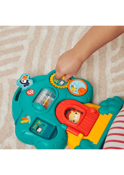 HXK32 Fisher-Price Hayvan Dostlar Keşif Serisi modelleri