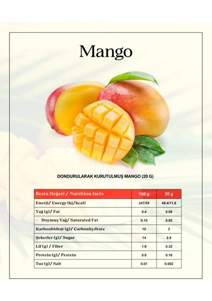 Freeze Dried Dondurularak Kurutulmuş Mango Dilimleri 20 Gram modelleri