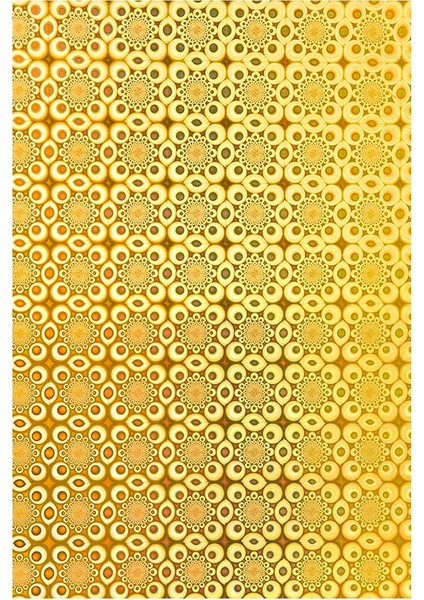 NC-592 Hologram Karton 50X70 10LU Gold modelleri