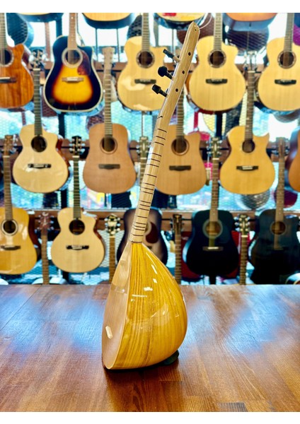 Profesyonel Yaprak Dut Cura 29 Tekne Jak Girişli modelleri