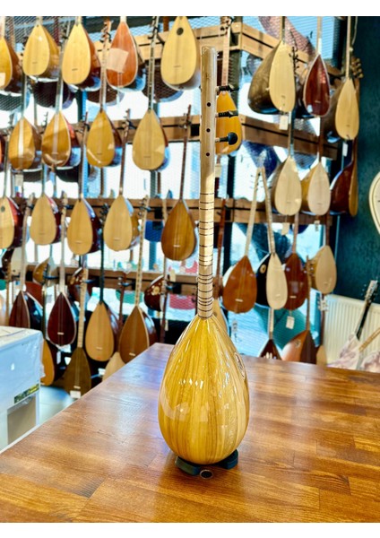 Profesyonel Yaprak Dut Cura 29 Tekne Jak Girişli