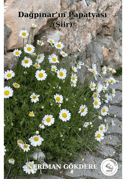 Dağpınar’ın Papatyası