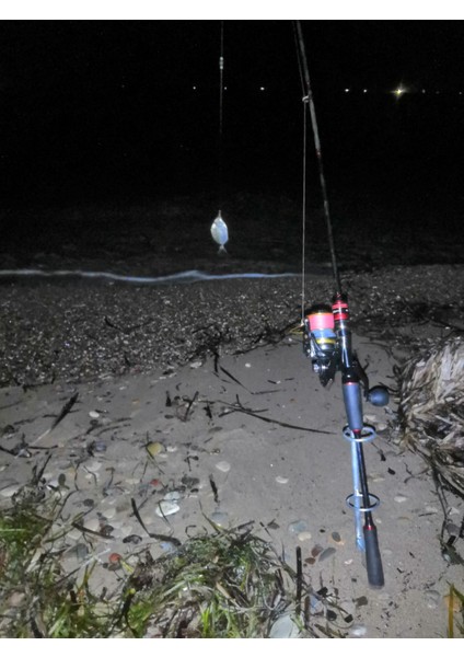 Olta Tutucu Sabitleme Kazığı (4 ADET) fırsatları