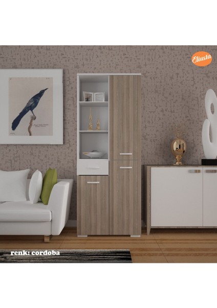 Banyo Dolabı Çok Amaçlı Dolap Mutfak Dolabı Ofis Dolabı Raflı Kapaklı