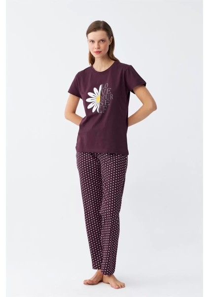 Kadın Mürdüm Papatya Baskılı Kısa Kollu Penye Pijama Takımı modelleri