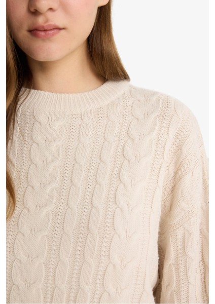 Coool Regular Fit Bisiklet Yaka Triko Kazak T4518AZ25WN indirimleri