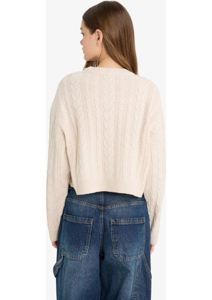 Coool Regular Fit Bisiklet Yaka Triko Kazak T4518AZ25WN