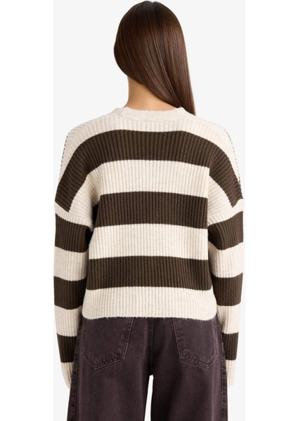 Regular Fit V Yaka Çizgili Düğmeli Hırka A2416AX25WN