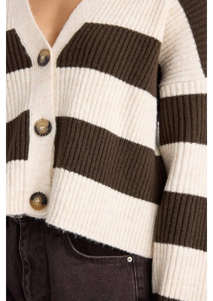 Regular Fit V Yaka Çizgili Düğmeli Hırka A2416AX25WN indirimleri