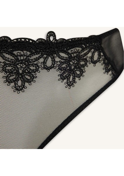 Dantel Detaylı Tül Brief Külot-Fall in Love F7961AX25WN modelleri