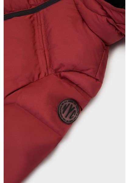 Erkek Bebek Kapüşonlu Fermuarlı Mont C6963A525AU modelleri