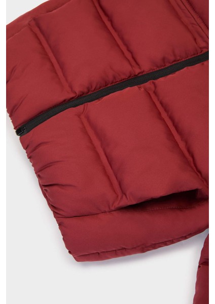 Erkek Bebek Kapüşonlu Fermuarlı Mont C6963A525AU fırsatları