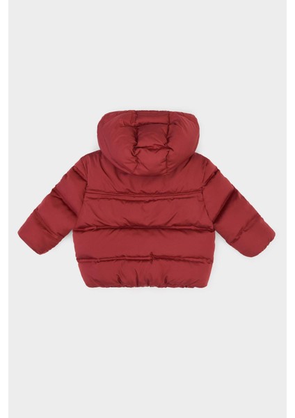 Erkek Bebek Kapüşonlu Fermuarlı Mont C6963A525AU indirimleri