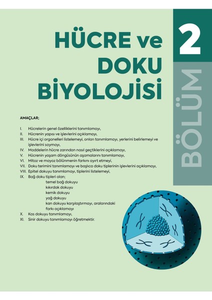 Görsellerle Zenginleştirilmiş İnsan Anatomisine Giriş Akademik Kitap SHMYO ve SYO Öğrencilerine Özel L. Bikem Süzen