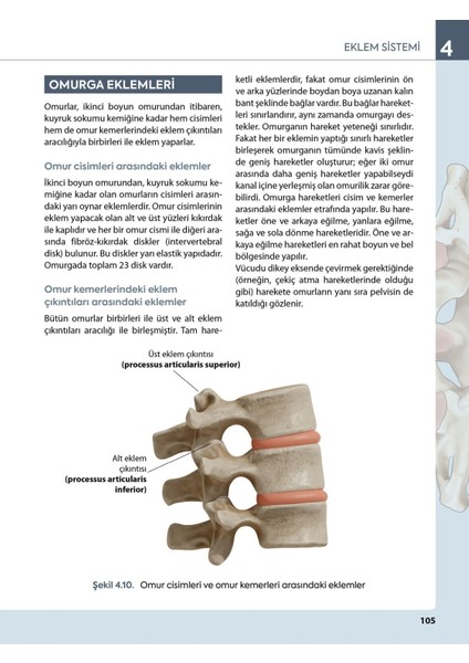 Görsellerle Zenginleştirilmiş İnsan Anatomisine Giriş Akademik Kitap SHMYO ve SYO Öğrencilerine Özel L. Bikem Süzen