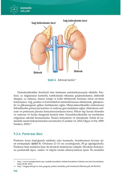 Hastane Öncesi Acil Bakım Paramedikler İçin Acil Hasta Bakımı Seti 3 Cilt Ali Ekşi