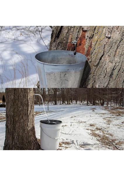 Akçaağaç Şurubu Musluk Takımı Paslanmaz Çelik Akçaağaç Musluğu (Yurt Dışından) indirimleri