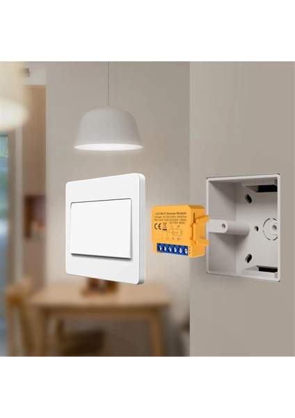 Tuya Wifi Akıllı Dimmer Anahtar Modülü 2ch Kontrol LED Işıkları (Yurt Dışından)