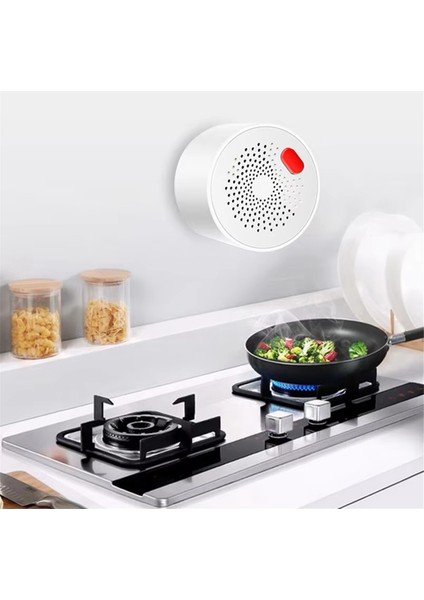 Tuya Akıllı Wifi Doğalgaz Sensörü Gaz Kaçağı Alarm Dedektörü Us-Fiş (Yurt Dışından)