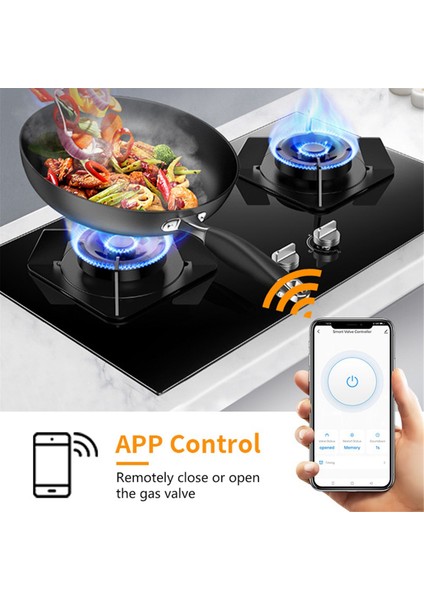 Tuya Smart Wifi Akıllı Vana Manipülatörü Eu-Fiş B (Yurt Dışından)