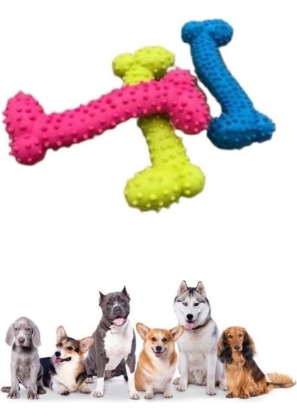 Kemik Şekilli Tırtıklı Diş Kaşıma Rahatlatıcı Köpek Çiğneme Oyuncağı 1 Adet modelleri