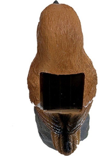 Dekoratif Güneş Işıkları Açık Güneş Kuşu Kazık Işıkları Dekoratif Bahçe Yol Işıkları Açık Su Geçirmez Kuş Işığı, C (Yurt Dışından) fırsatları